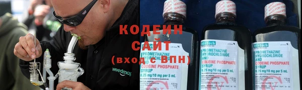 ECSTASY Алзамай