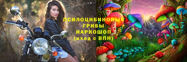 ECSTASY Алзамай