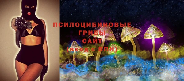 герыч Алексин