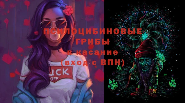 герыч Алексин