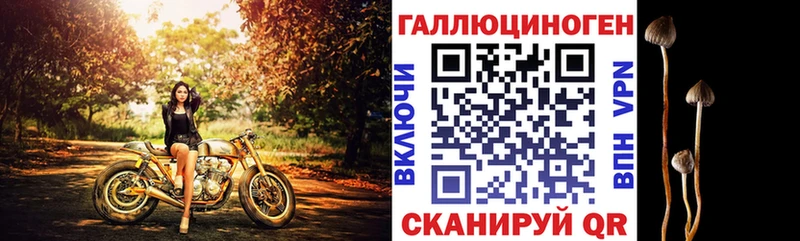 ОМГ ОМГ как войти  Куровское  Галлюциногенные грибы GOLDEN TEACHER 