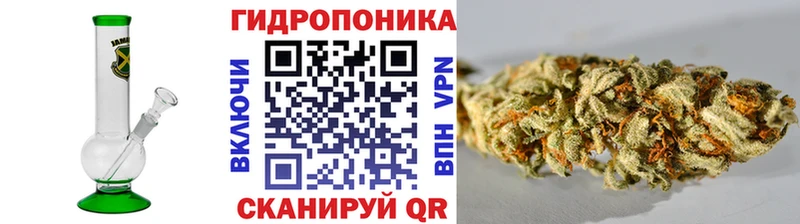 закладка  Куровское  Каннабис конопля 